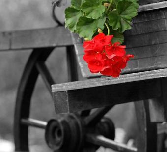 Apartmaji In Sobe Kocjan?i?