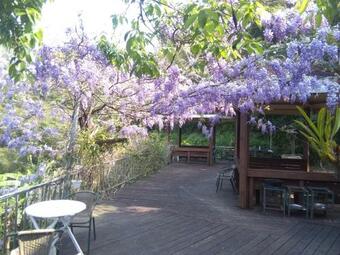 Bed & Breakfast Neiwan Xingguang Liuyu Homestay