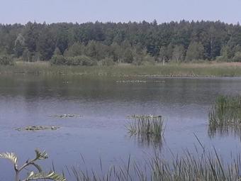 Hotel Solnechnaya Polyana