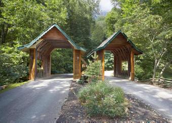 Misty Mountaintop #52