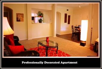 (428) Apartment Near Sugar Land