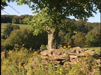 Tentrr - Three Dog Knoll