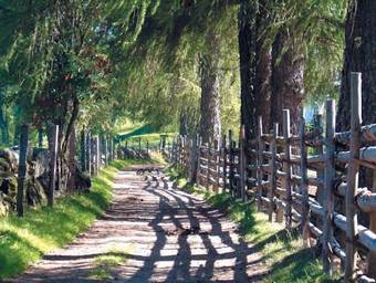 Bergh�tte Blockhaus