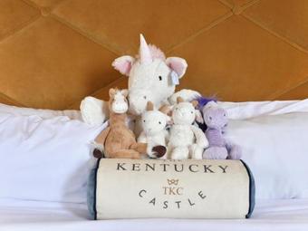 Hotel Kentucky Castle