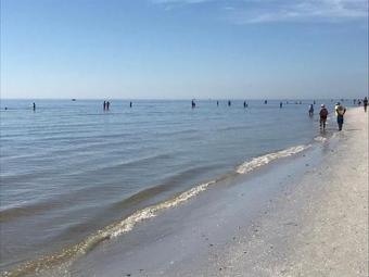 The Sandpiper Cottage