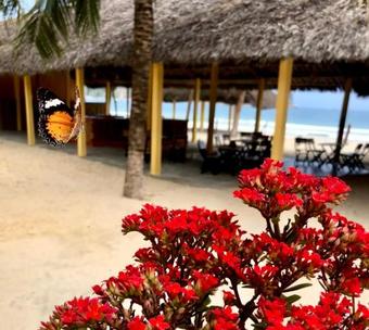 Ocean Beach Bungalows & Hostel