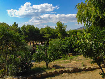 Agroturismo Agriturismo Torre Di Albidona