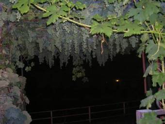 Bed & Breakfast Ligo