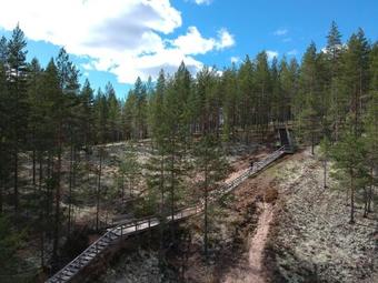 Hotel Rokua Health & Spa