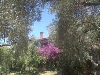 Apartamento House Katia