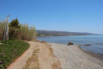 Vassia 3