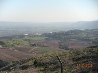 In Our Backyard - Metula