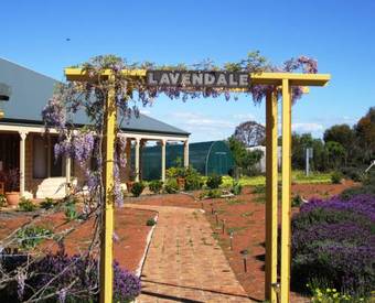 Agroturismo Lavendale Farmstay And Cottages York