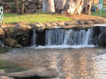 Erettz Dafna Travel Hotel