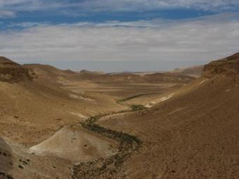 Albergue The White Hill Guesthouse