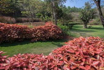 Villa Kahani Paradise