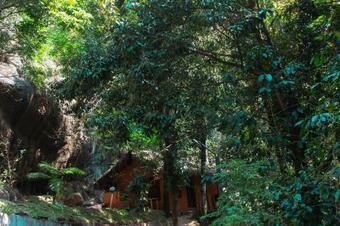 Golden Fern Eco Stay