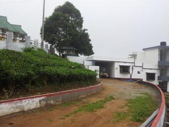 Hostal Cherry Homes