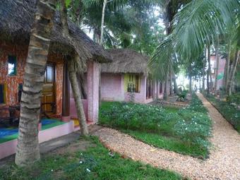 Hostal Paddy Homestay