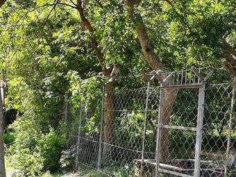 Snow White Holiday Homes