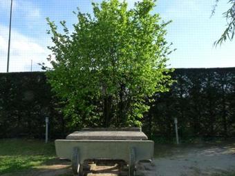 Residence Cascina Roncate