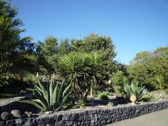 Bed & Breakfast Casa Gallida