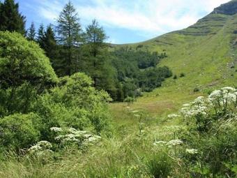 Borgo Belvedere - Villa