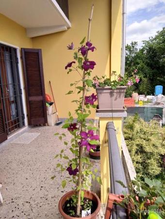 Bed & Breakfast In-famiglia