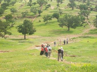 Gite Souss