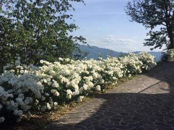 Holiday Home Via Di Gattaia