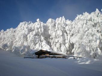 Hostal Albergo Conte Max