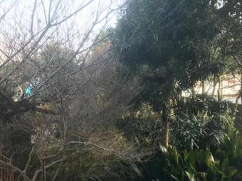 Agroturismo Suzumidono Yado