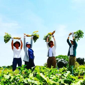 Hostal Cocoreto The Guesthouse Daikon Island