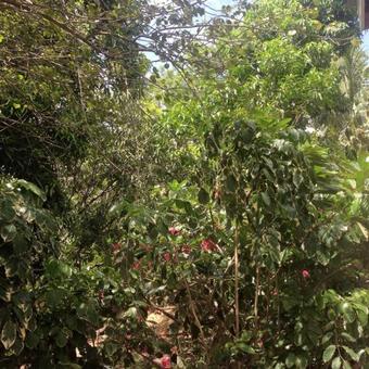 Hotel Kilifi Maghreb