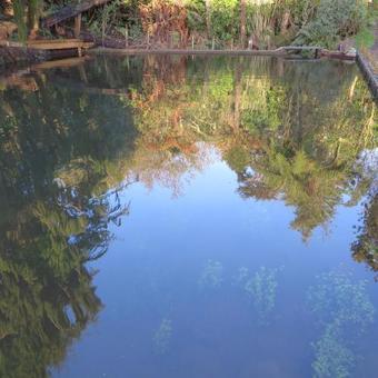 Brecon Pond Bed & Breakfast