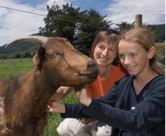 Smiths Farm Holiday Park