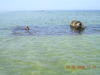 Hostal Villa Plazowa 6