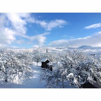 Hostal Pensiunea Martuca