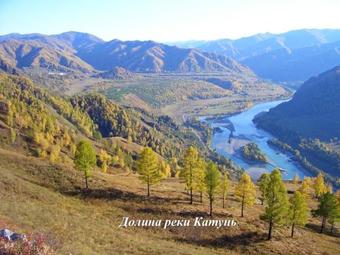 Hostal Guesthouse V Sosnovom Boru