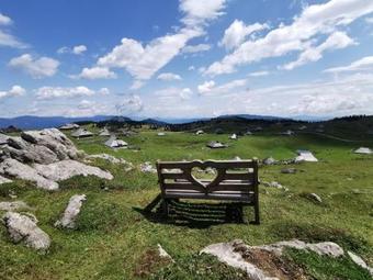 Chalet Ko?utnik Velika Planina