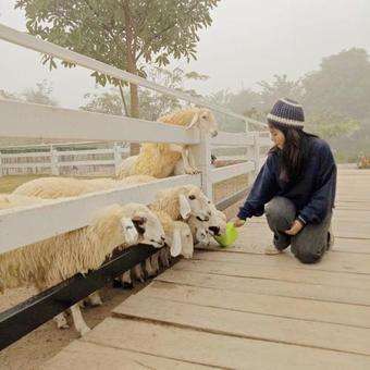 Hotel Norn Nab Dao Rimphu Resort