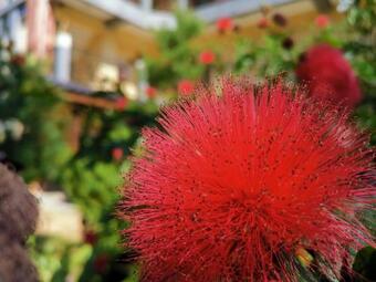 Rainbow Springyu B&B