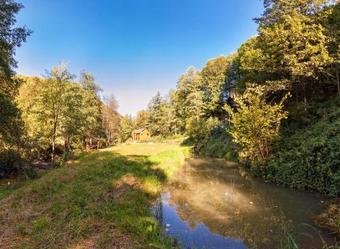 Hotel Cottage Teremok