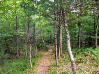 Brandy Bay Hideaway Home