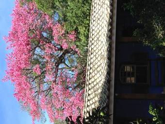 Posada Charqueada Santa Rita Pousada De Charme