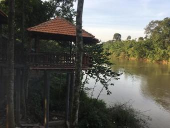 Paradise On The Tree