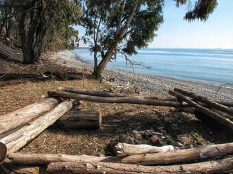 Hostal Guest House Evkalipt