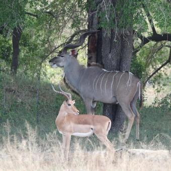 Hostal Kilmorna Manor Guest House