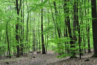 Apartamento Ferienappartement Himbergen