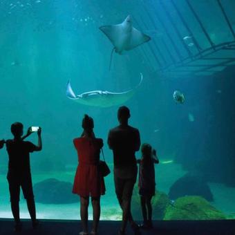 Bed & Breakfast Akoa Villa